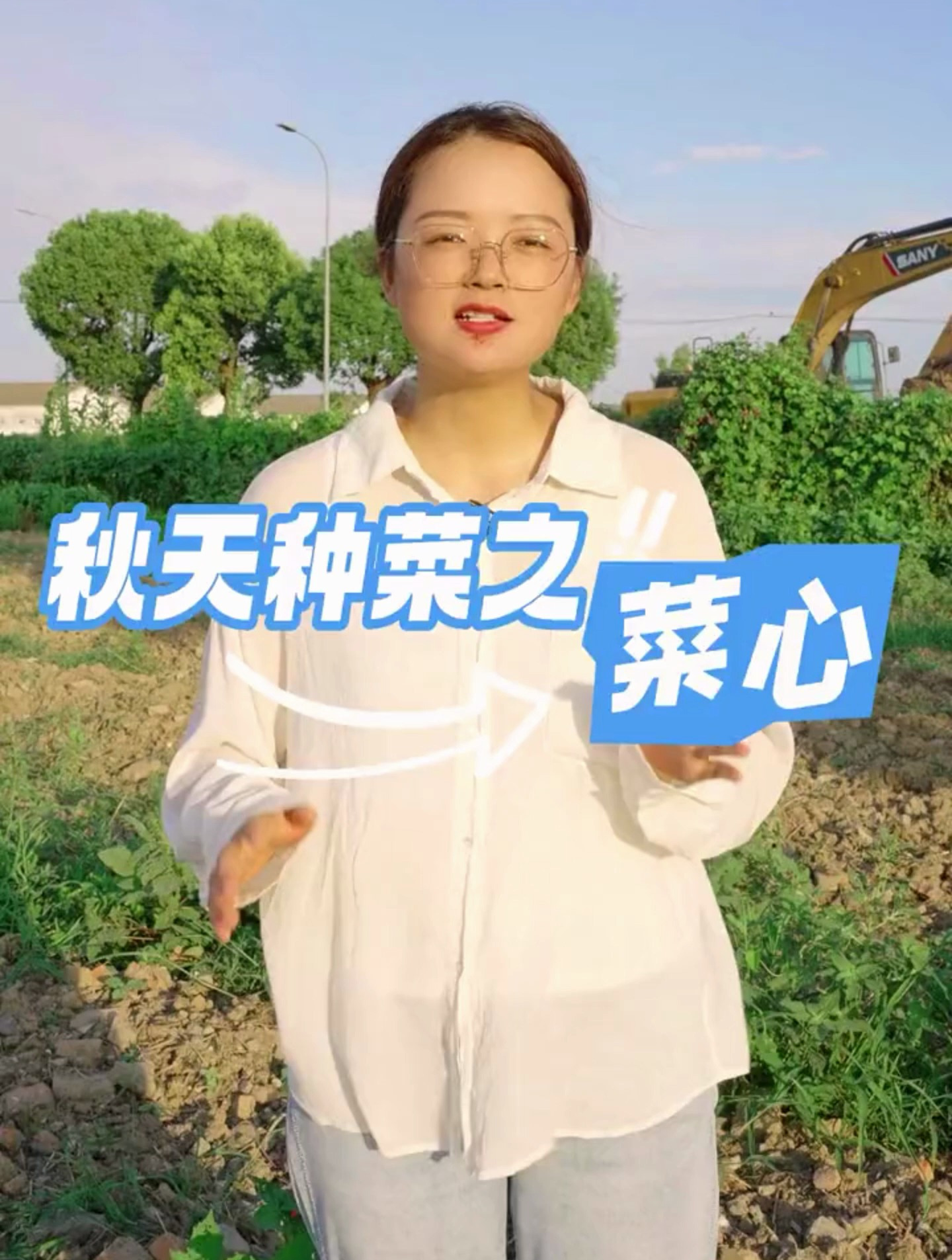 菜心的种植,自己种纯天然绿色蔬菜