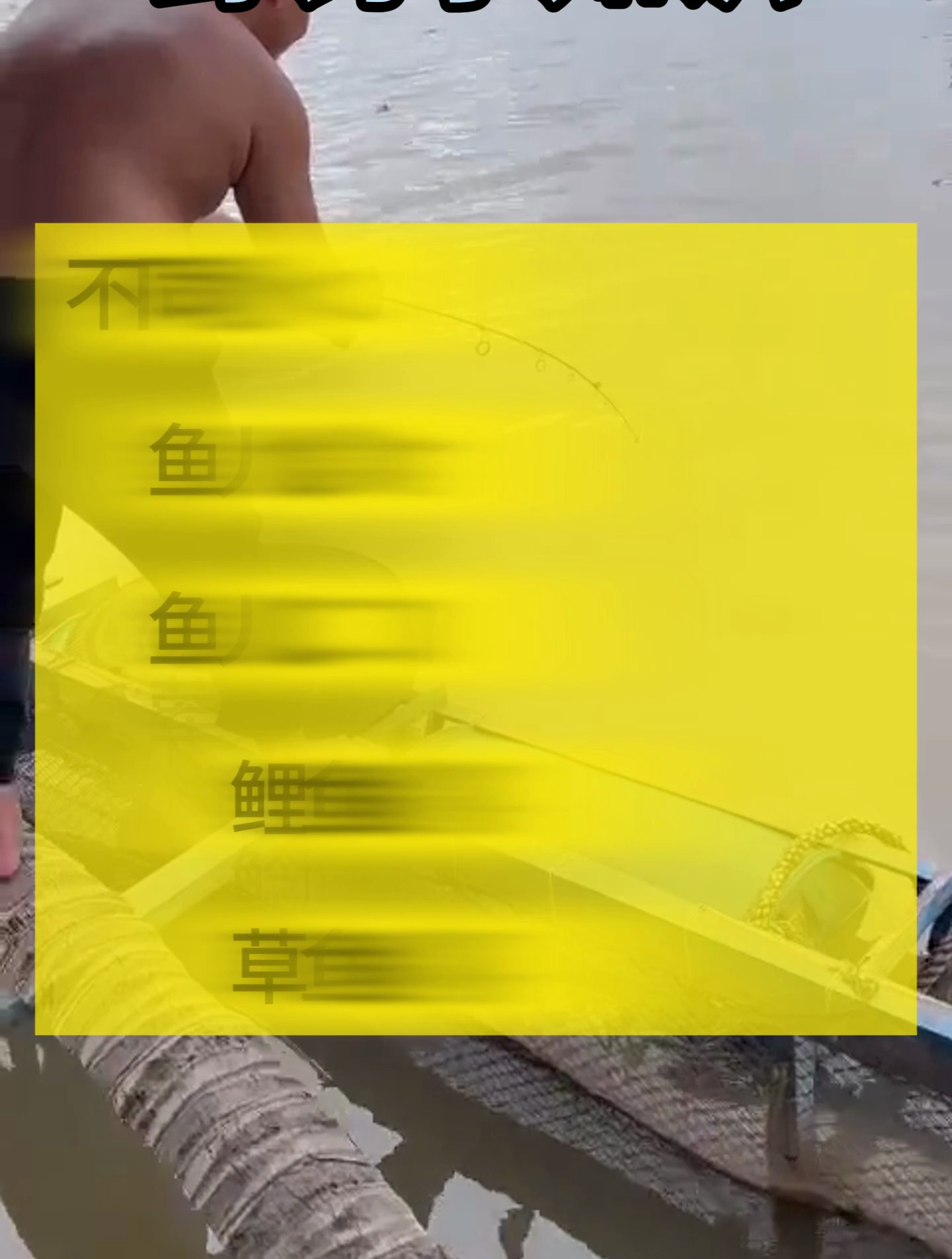 不同鱼的习性顺口溜,了解鱼的习性就成功了一大半!