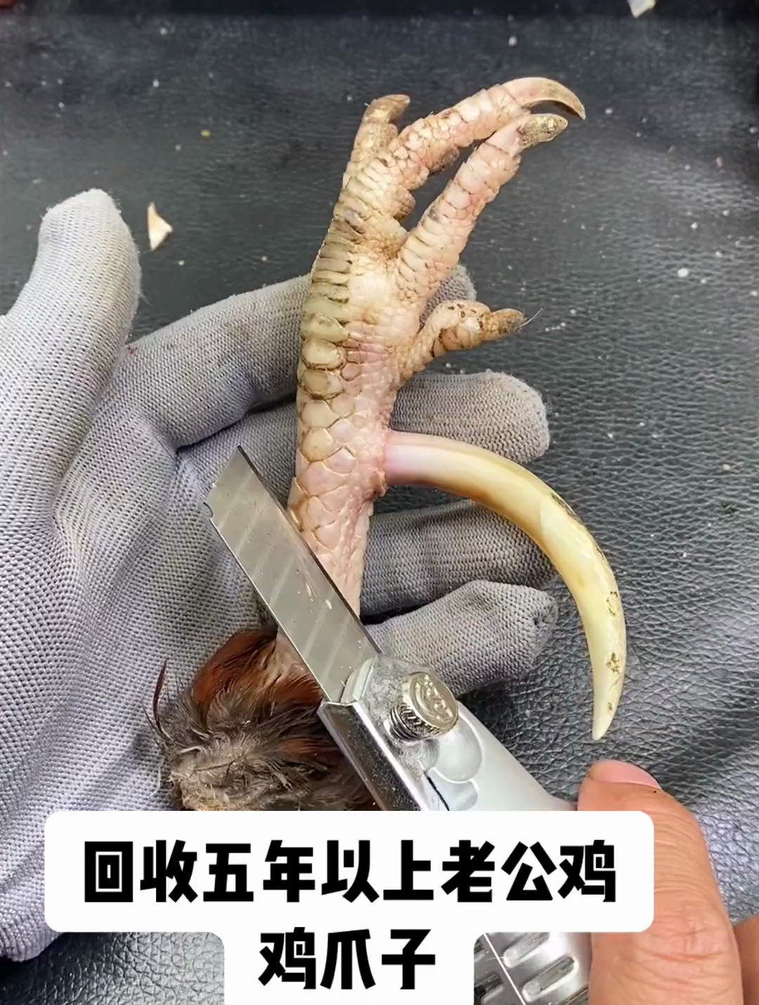 鸡爪子摇身一变,成了大美丽