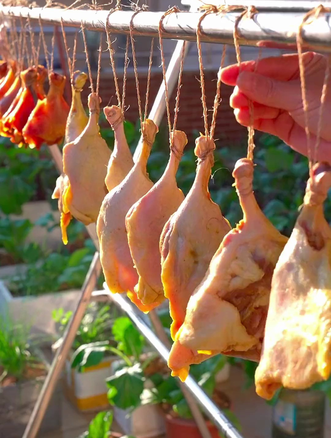 风干鸭腿:这个盐焗风干鸭腿真是太好吃,比传统的风干腊鸭还好吃