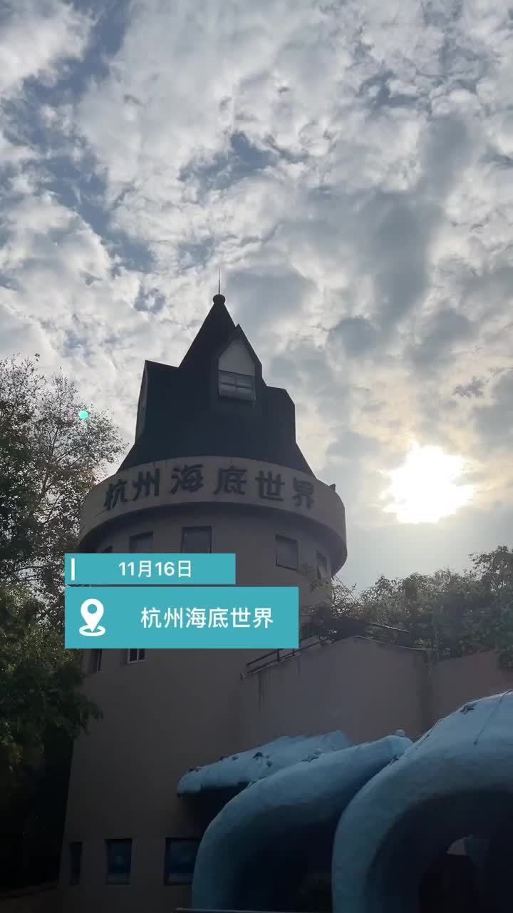 先睹为快!杭州海底世界的大鲨鱼搬家进行时