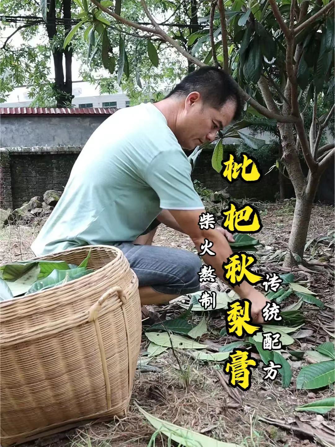 古法熬制一锅枇杷秋梨膏,详细正宗的做法配方,入秋了多准备几瓶