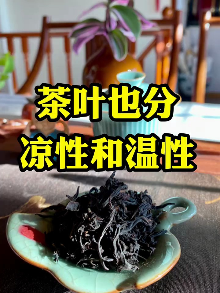 茶叶也分凉性和温性你知道吗?