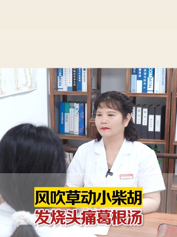 风吹草动小柴胡 发烧头痛葛根汤