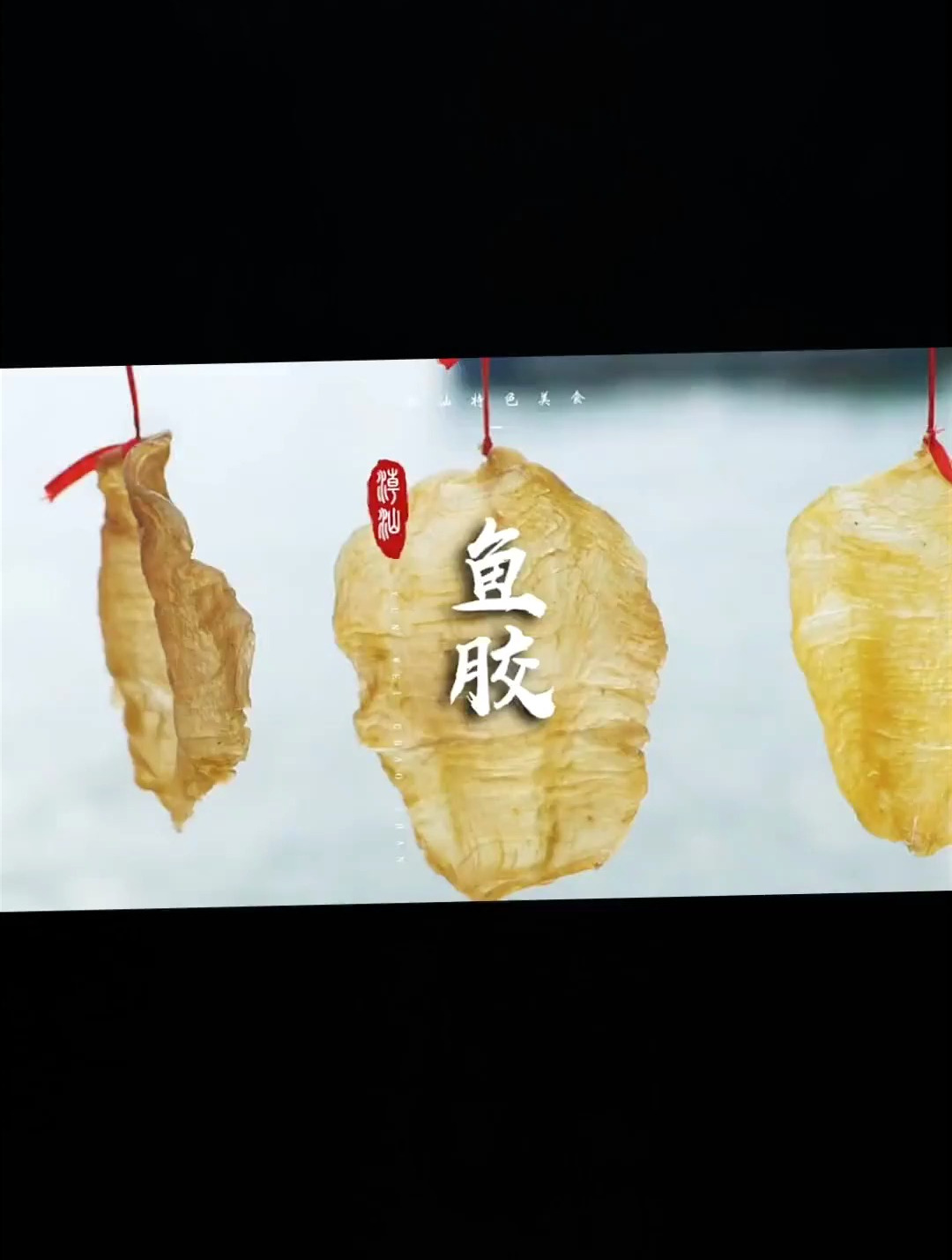 你知道鱼胶是怎么来的吗,工艺还是很繁琐的!