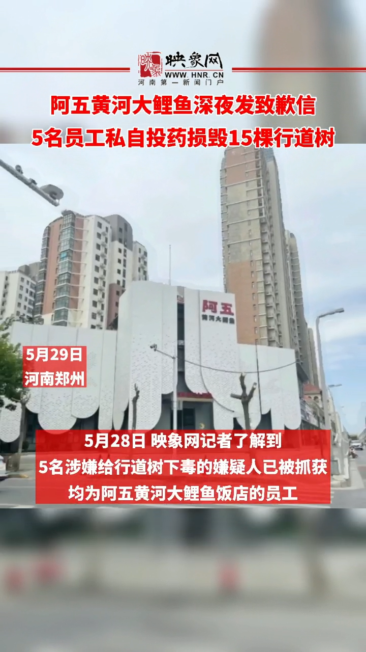 阿五黄河大鲤鱼深夜发致歉信 5名员工私自投药损毁15棵行道树