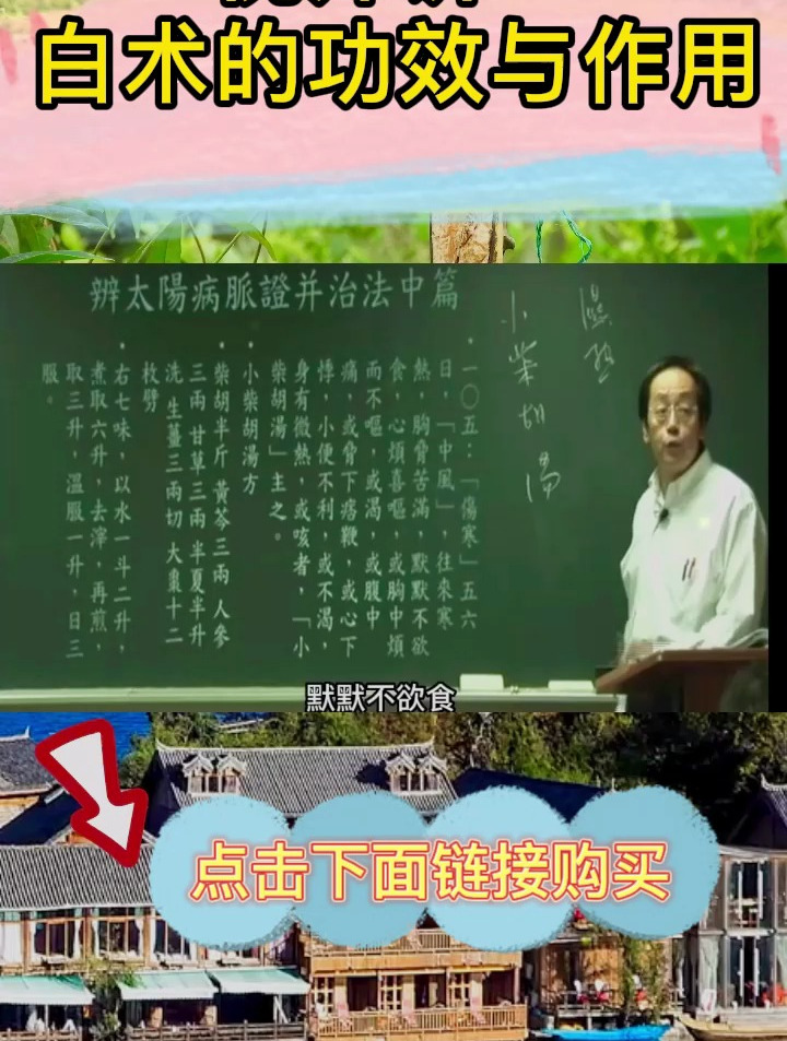 倪师讲:白术的功效与作用