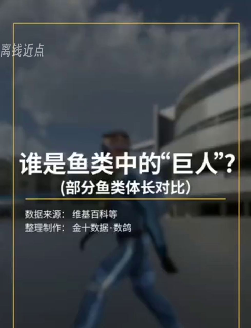 地球上最大的鱼类有多大?看看它们的体型对比!