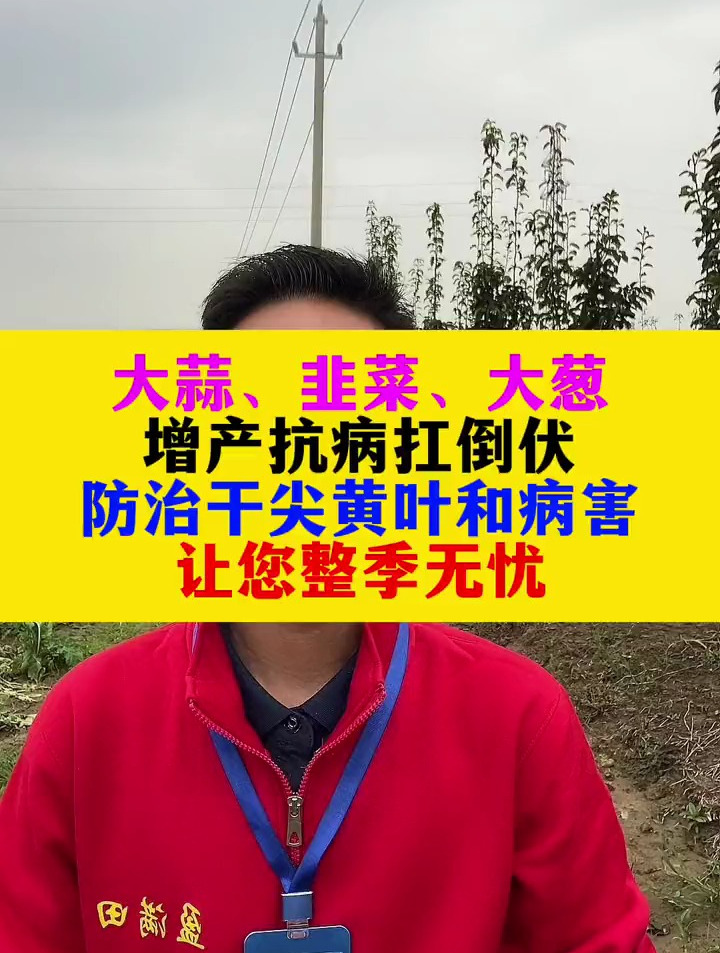大蒜,韭菜,大葱,增产抗病抗倒伏,防治干尖黄叶和病害