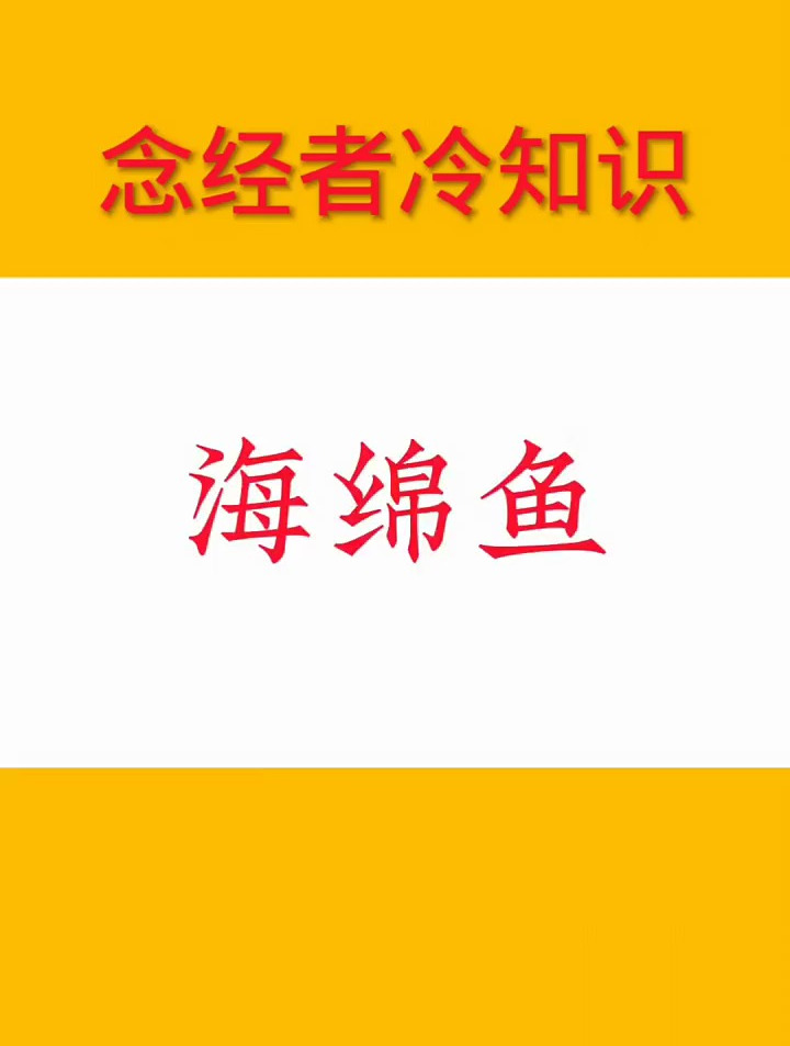 海绵鱼,你见过吗?