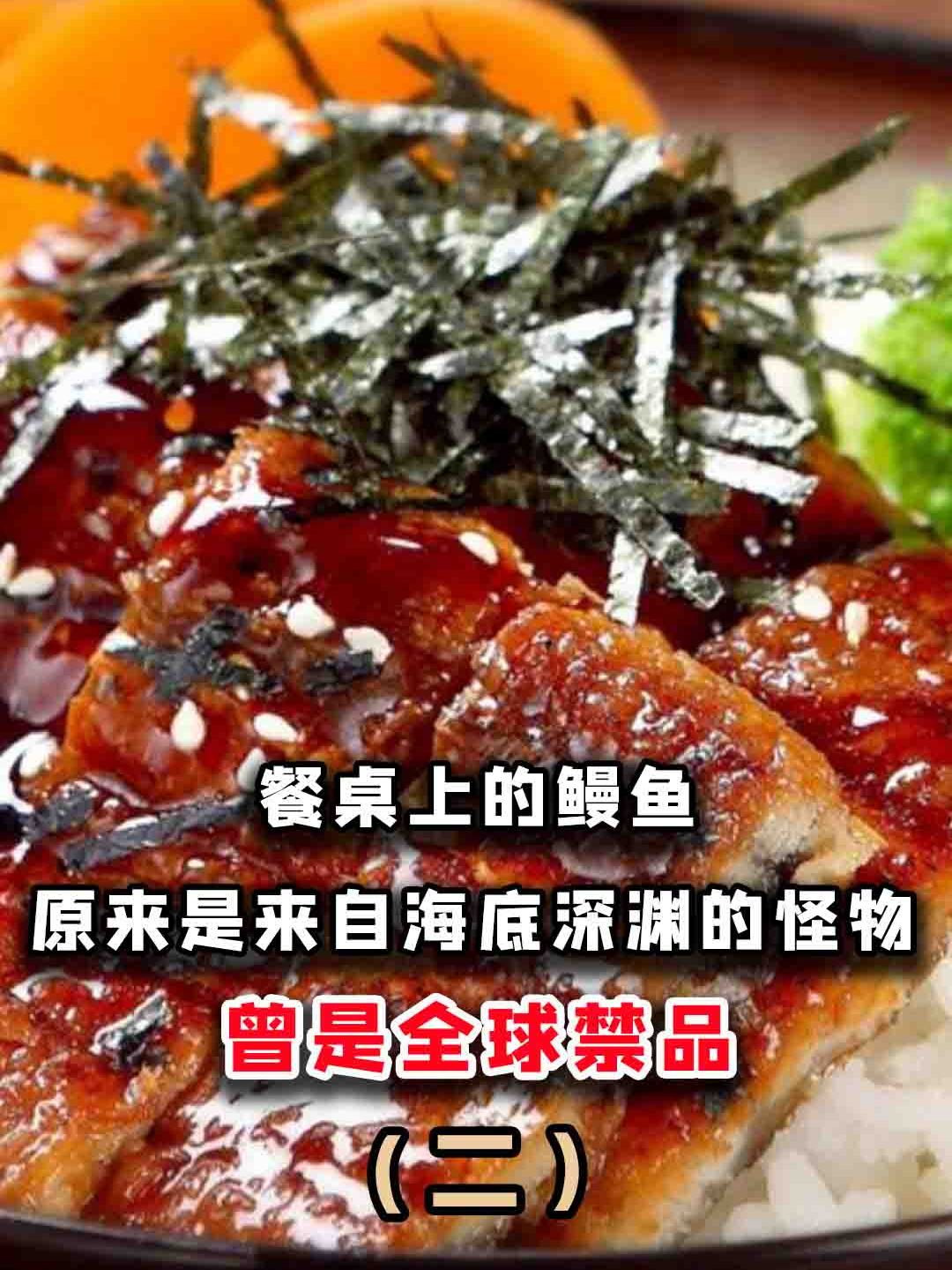 为什么鳗鱼苗比黄金还贵?还曾是全球禁品?