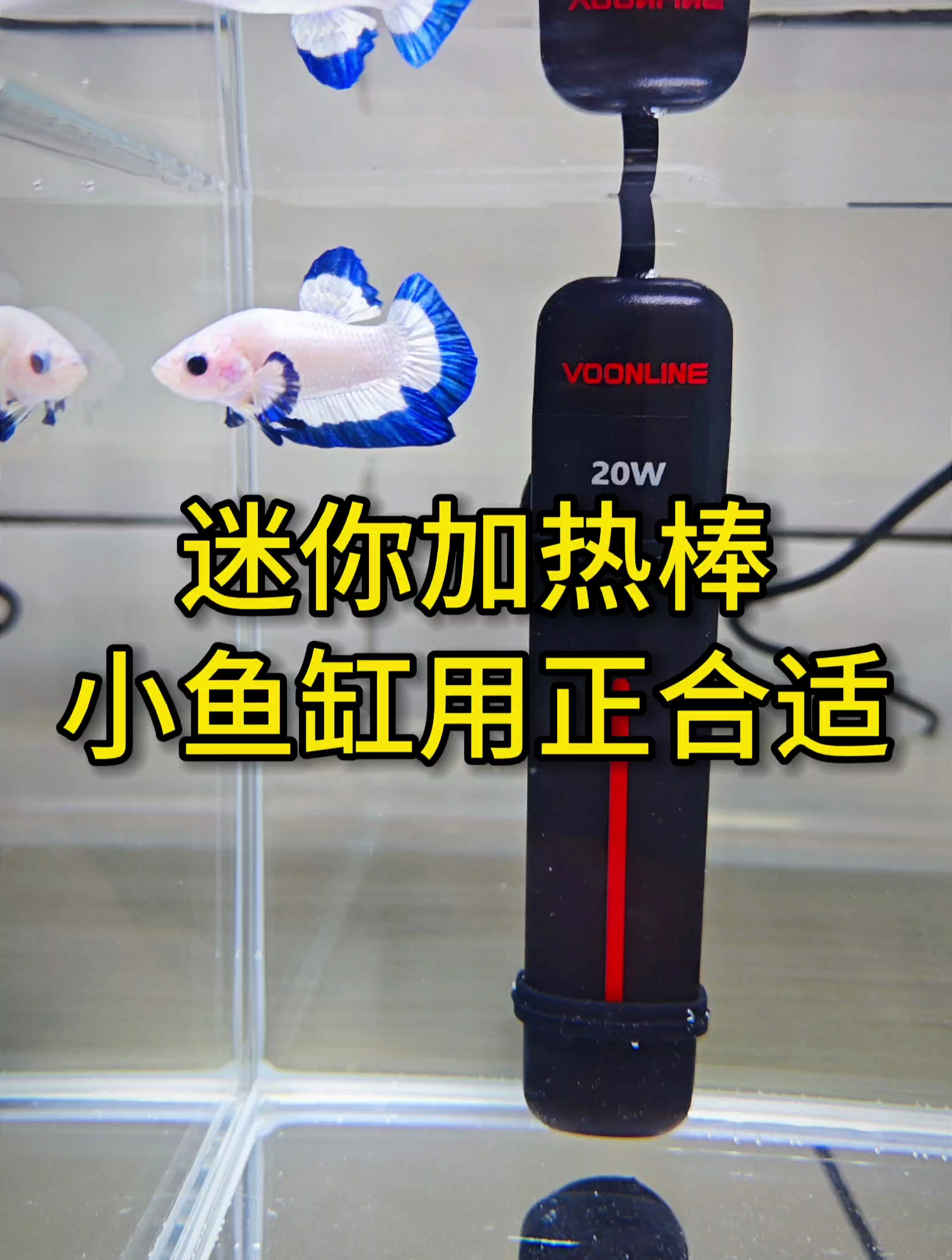 适合20厘米左右小缸,迷你加热棒,小巧好用!