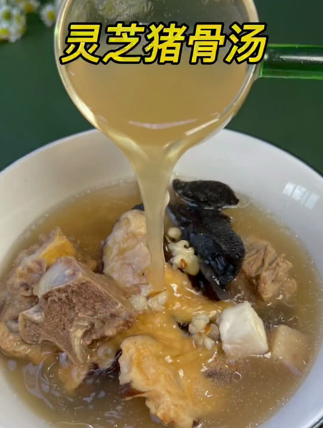 灵芝猪骨汤,经常觉得很累,舌苔又白又后,那可能是湿气重了