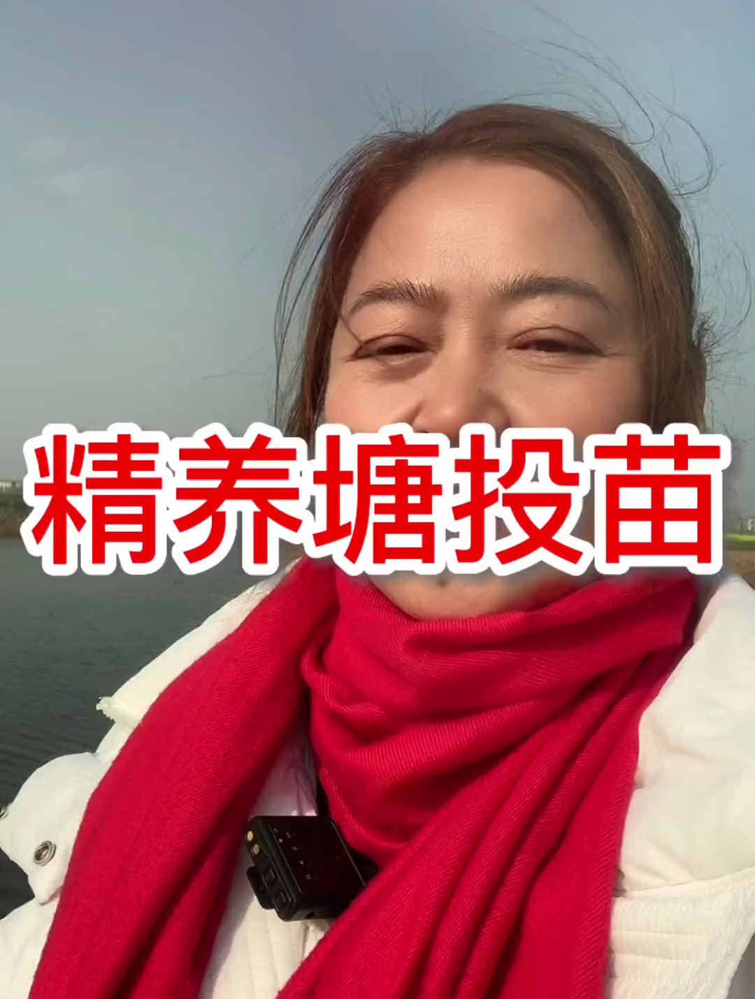 小龙虾养殖,大家要精养塘投苗时间以及规格