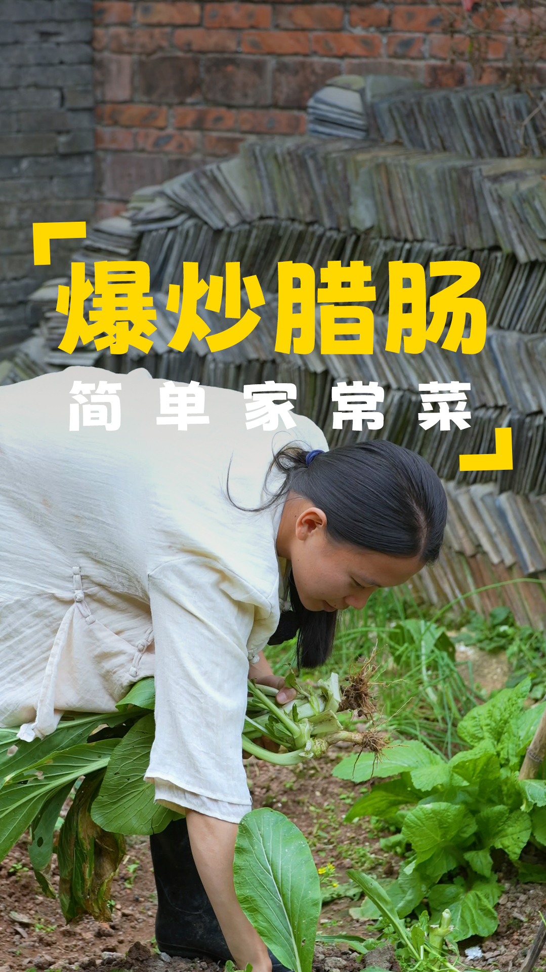 地里的甜菜心老了,把它们拔掉,晚上做一道炒腊肠,简单家常菜