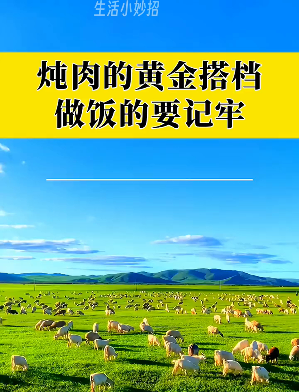 家常炖肉好搭档,让肉香四溢的秘诀!