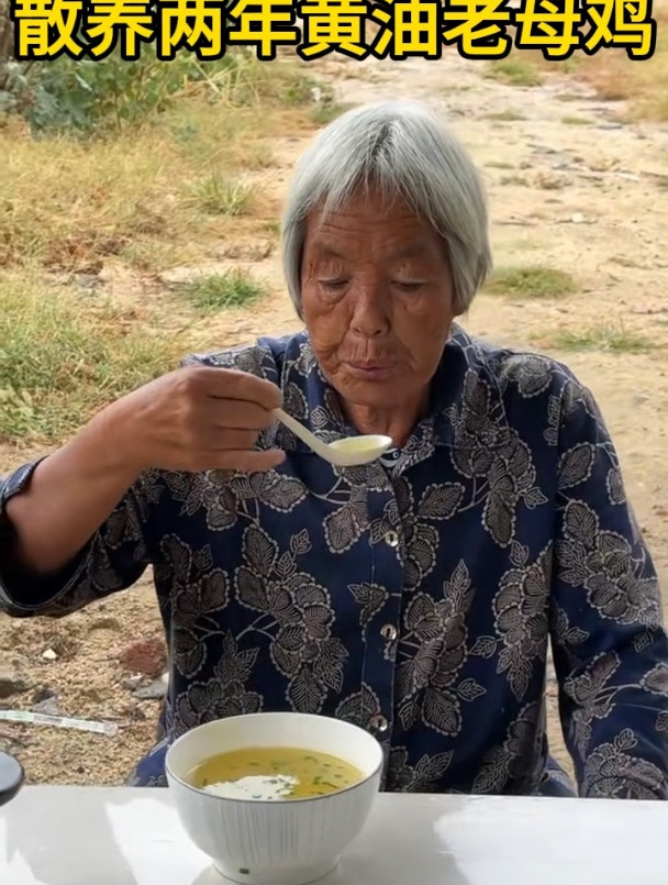 农家散养黄油老母鸡