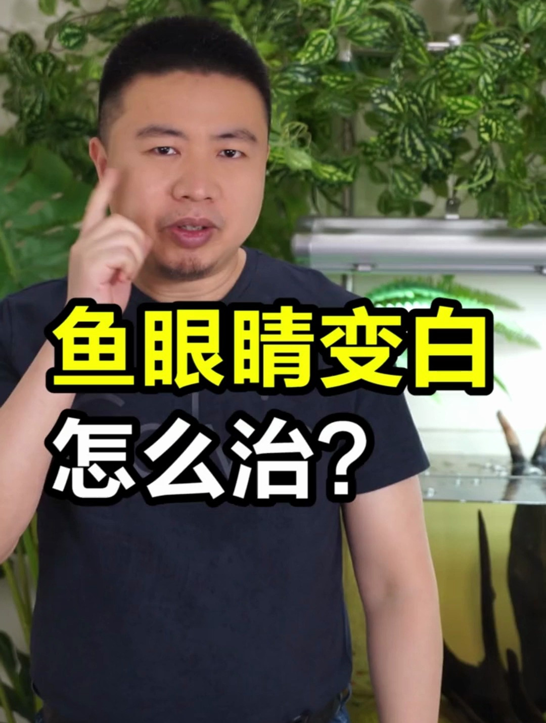 鱼身上长白毛 教你几招治水霉 以及如何预防水霉病的发生