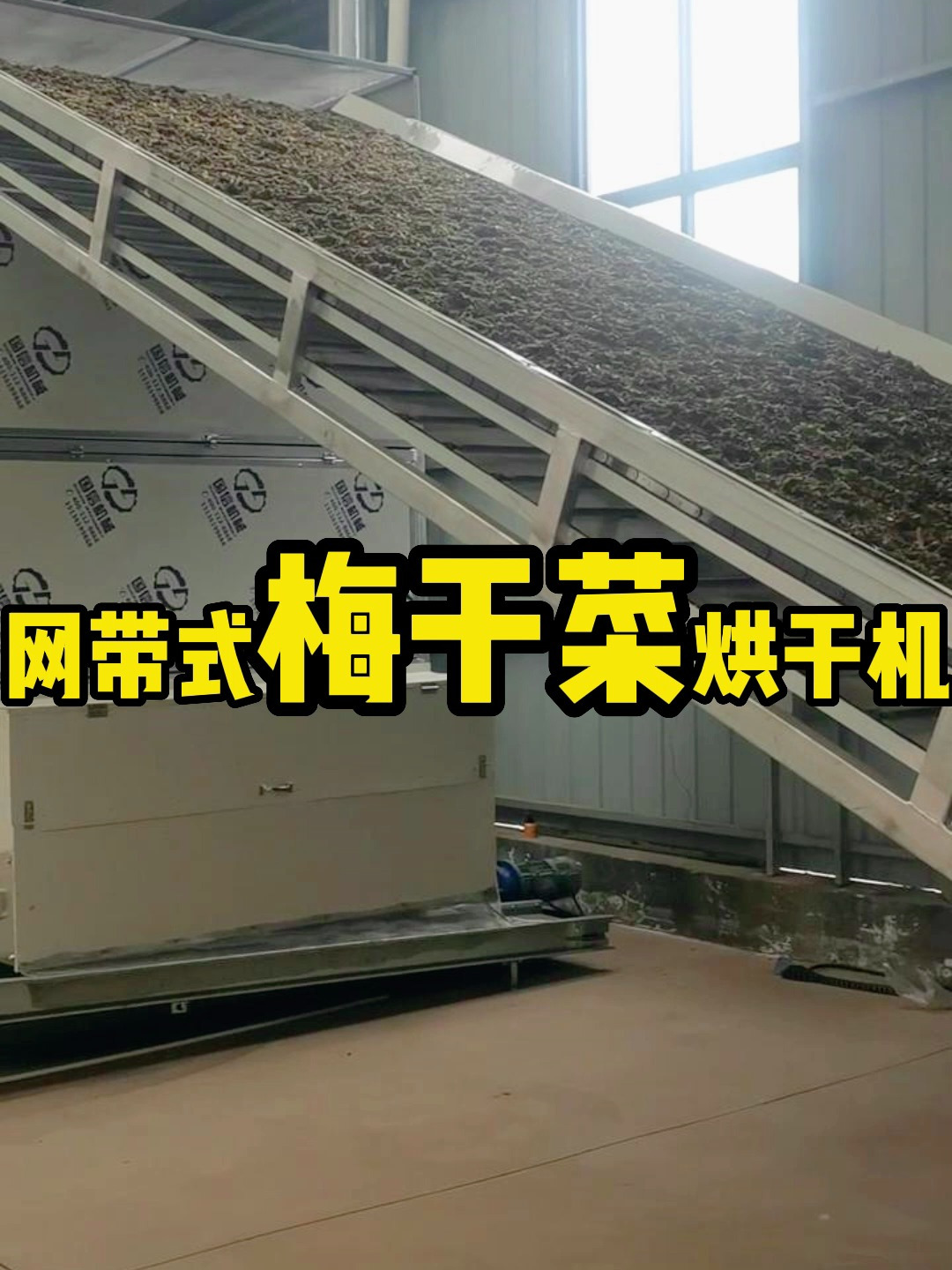 梅干菜烘干加工工艺