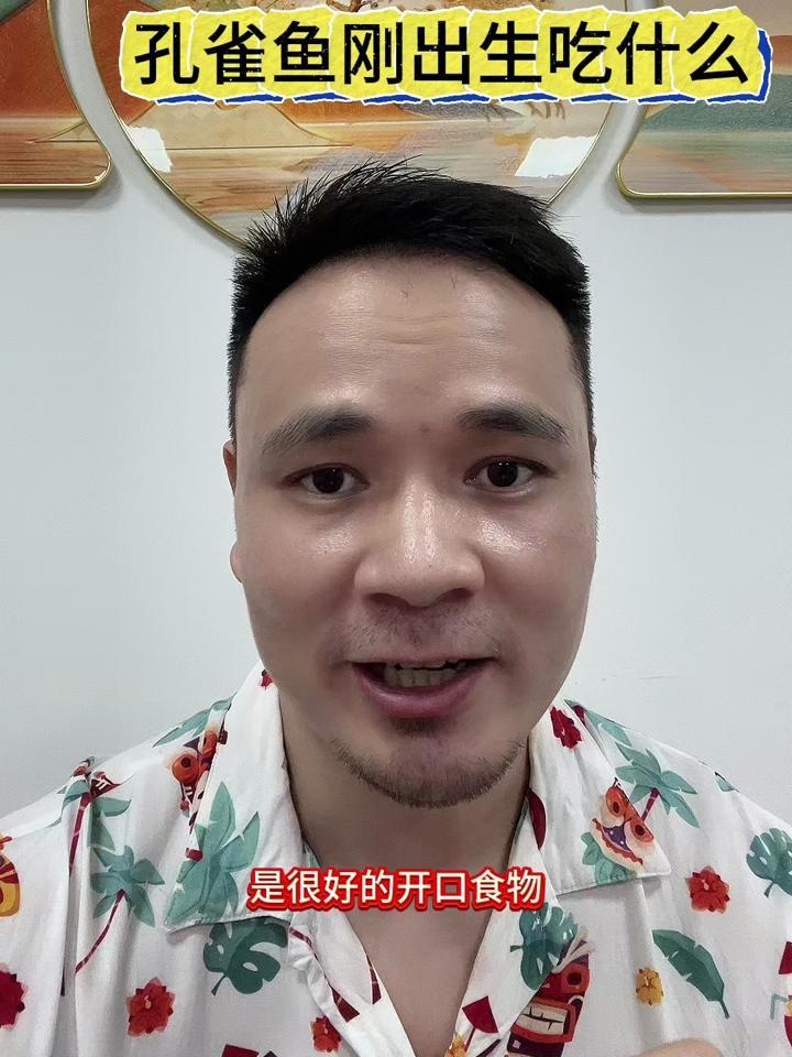 孔雀鱼刚下的崽吃什么?