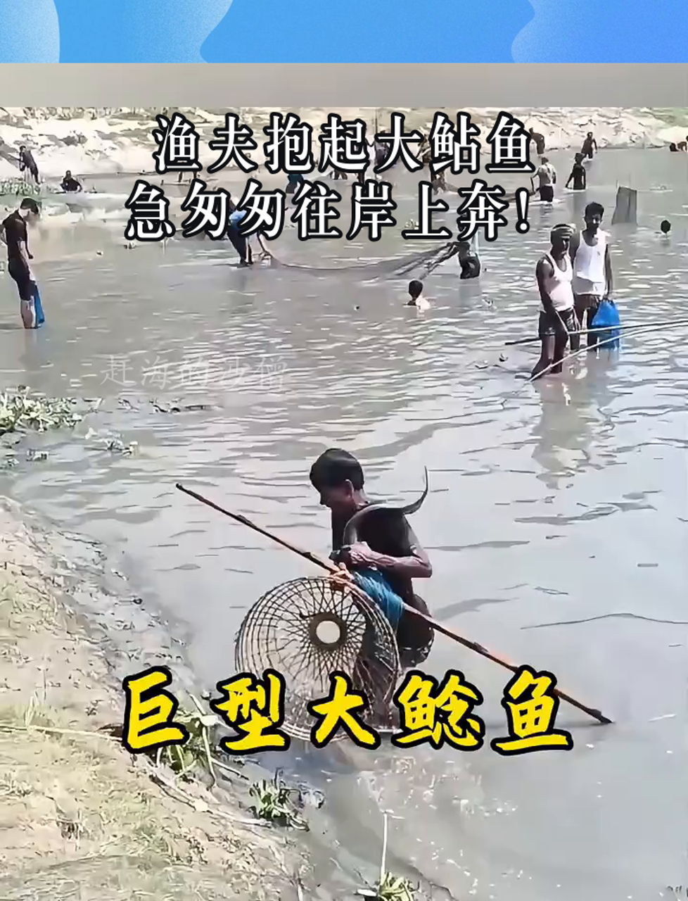渔夫抱起大鲇鱼,急匆匆往岸上奔!