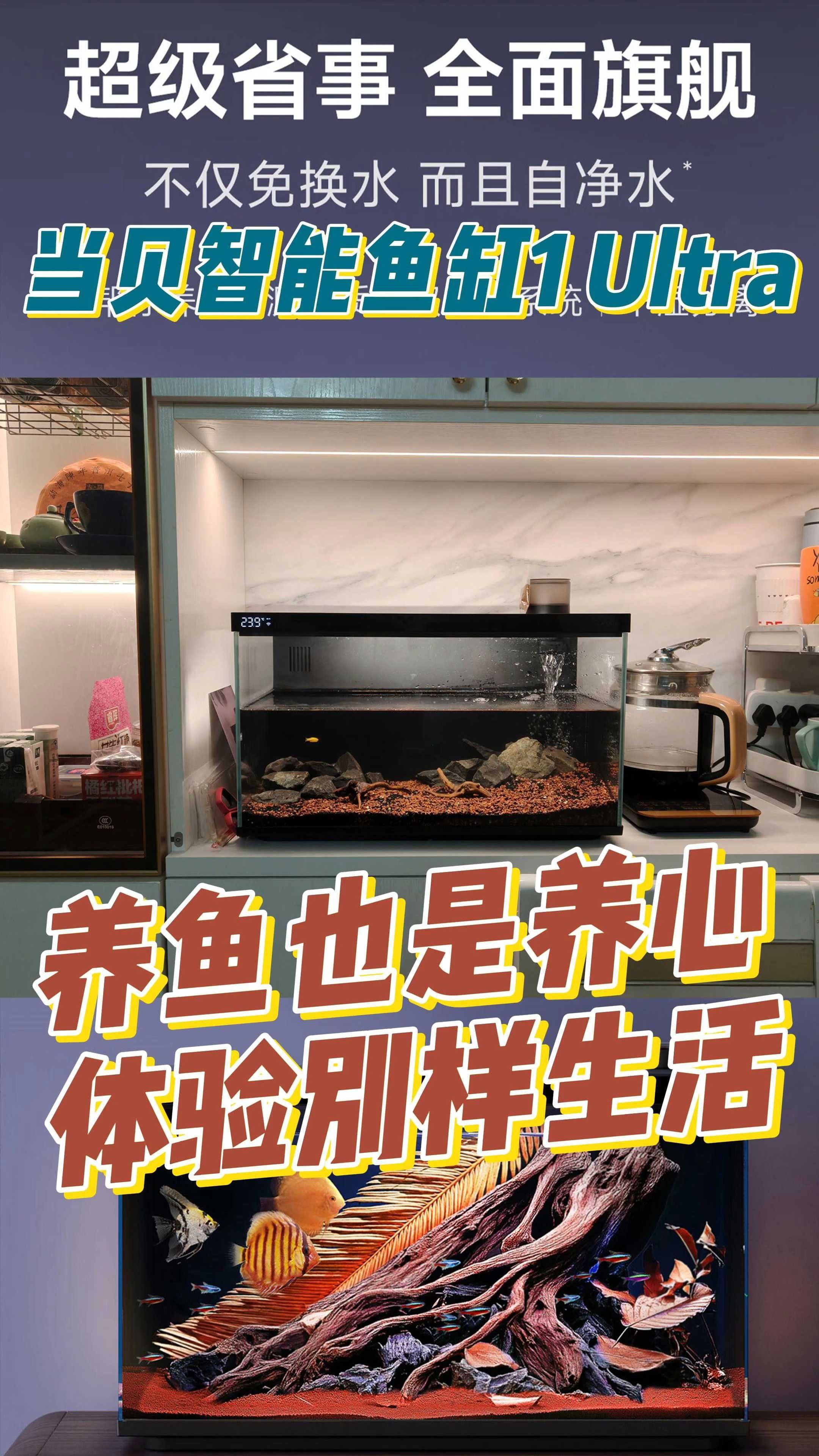 体验下当贝智能鱼缸1 Ultra 养鱼也是养心 体验别样生活