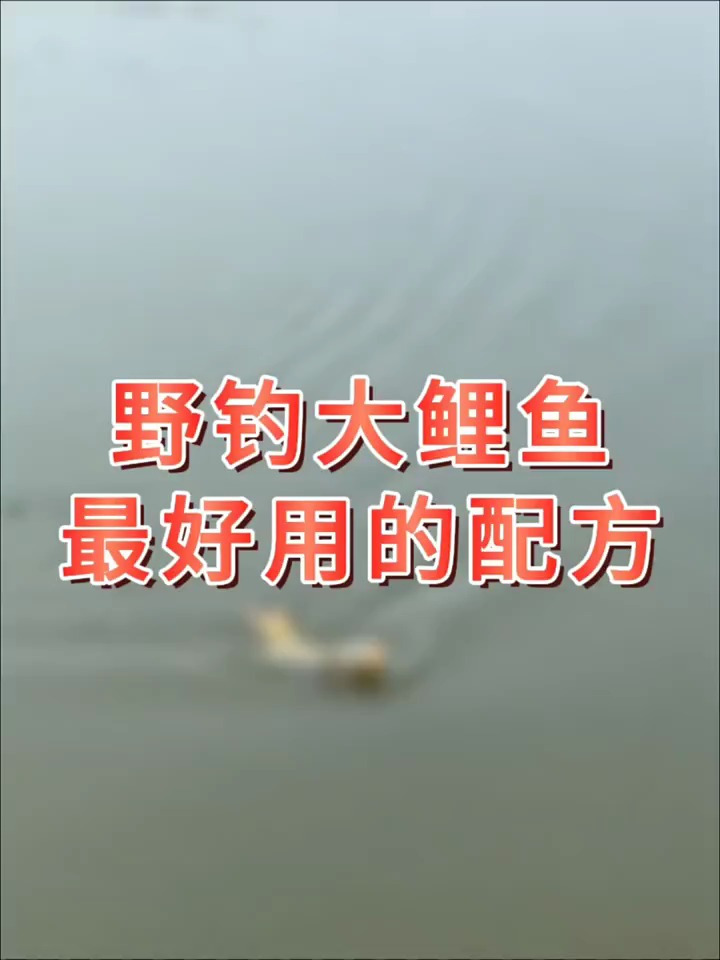 野钓大鲤鱼最好用的饵料配方!