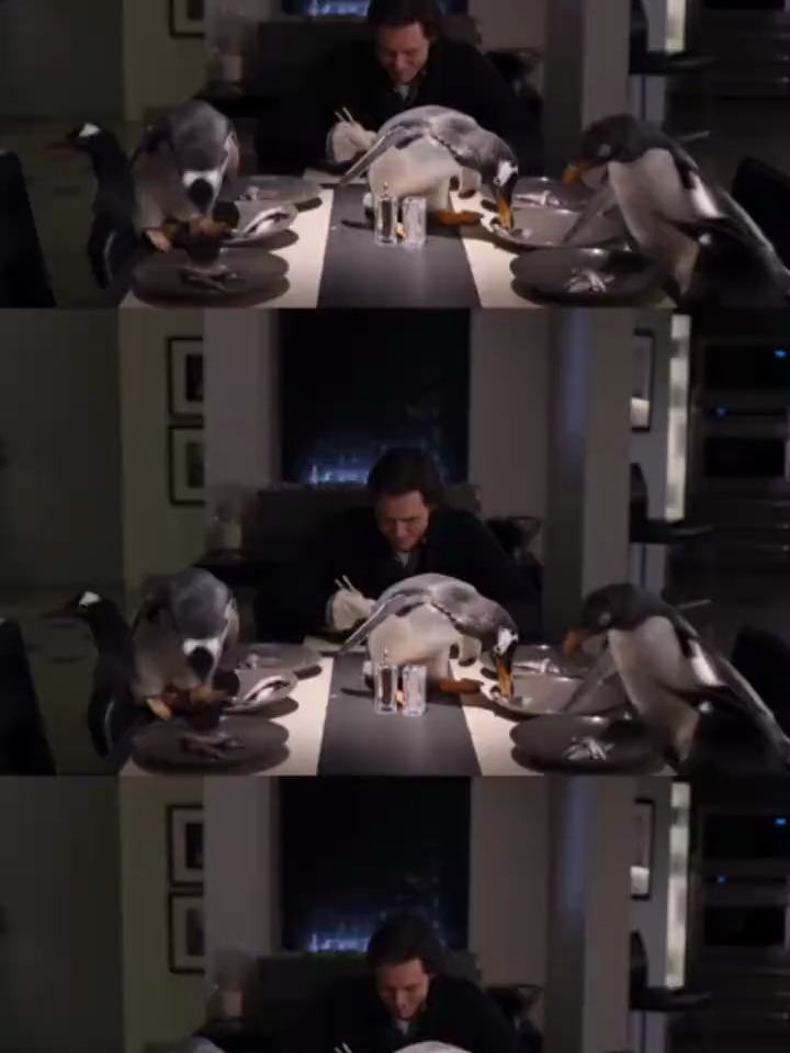 企鹅的叫声真的是这样吗?