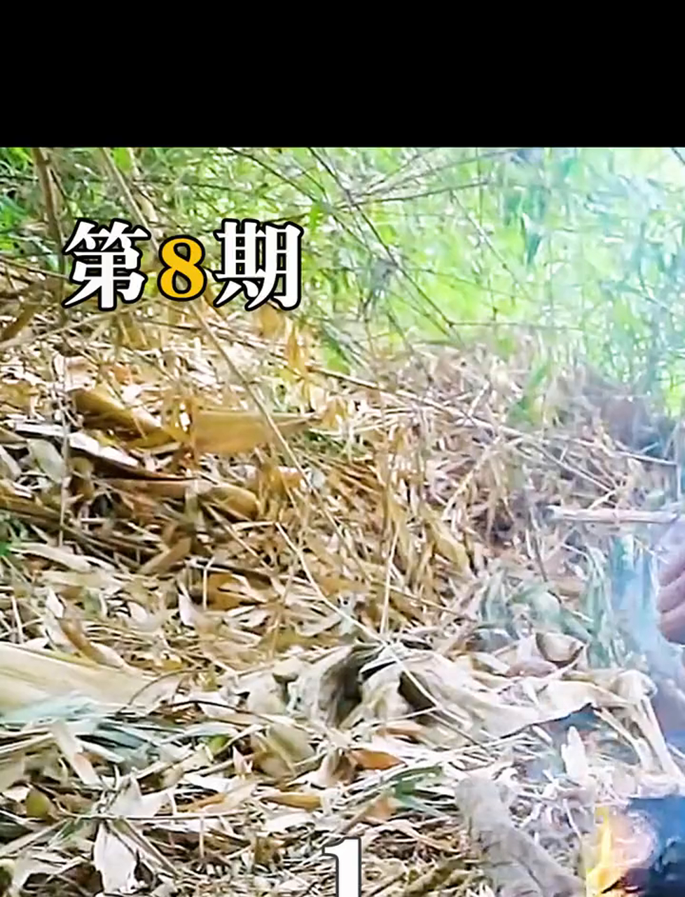 第八集/第1段:猴哥野外空手捉野鸭,大快朵颐烤鸭盛宴!