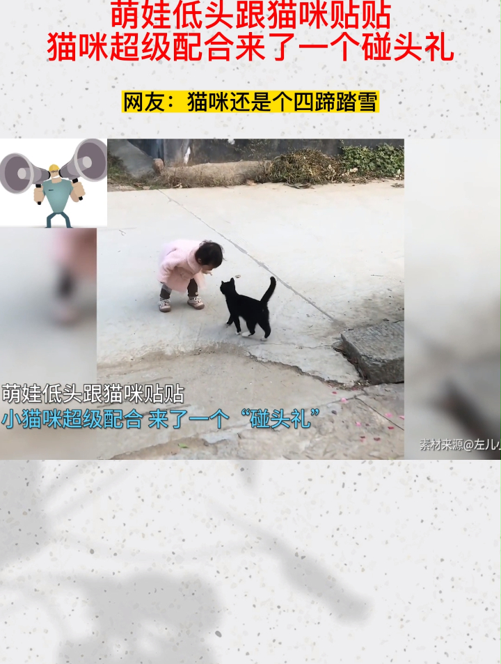 萌娃低头跟猫咪贴贴,猫咪超级配合来了一个碰头礼