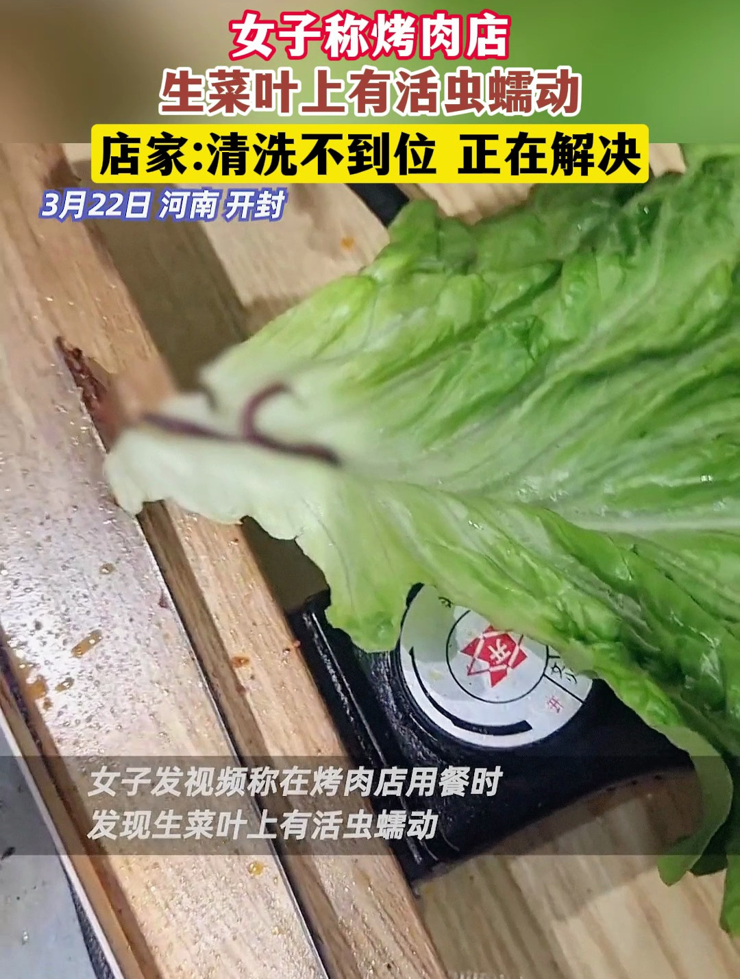 女子称烤肉店,生菜叶上有活虫蠕动,店家清洗不到位 正在解决