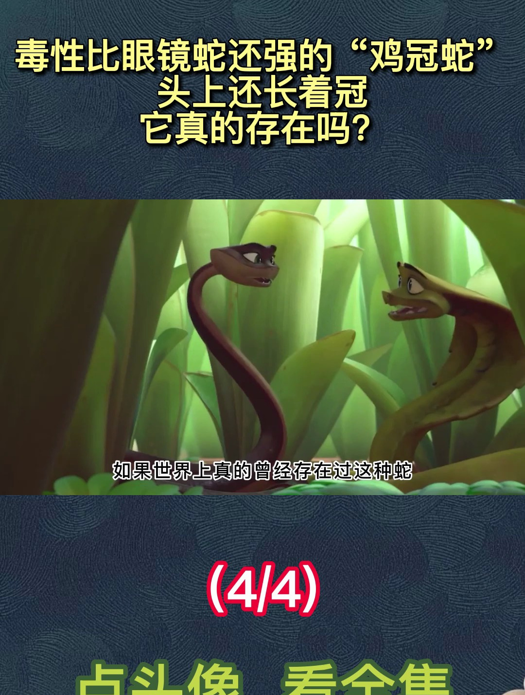 毒性比眼镜蛇还强的“鸡冠蛇”,头上还长着冠,它真的存在吗?