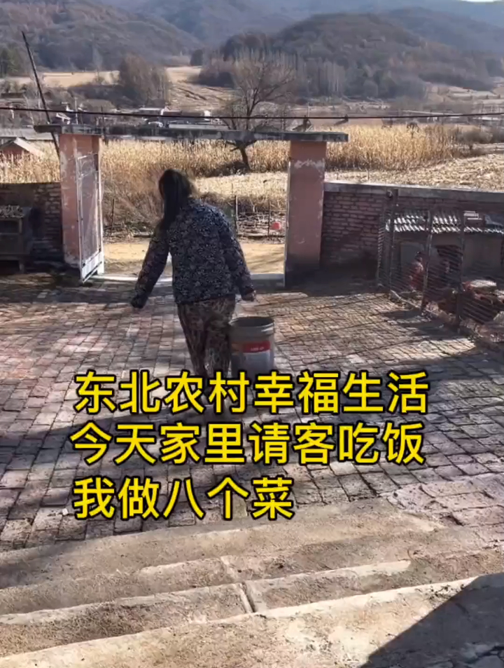今天家里请客吃饭 我做八个菜