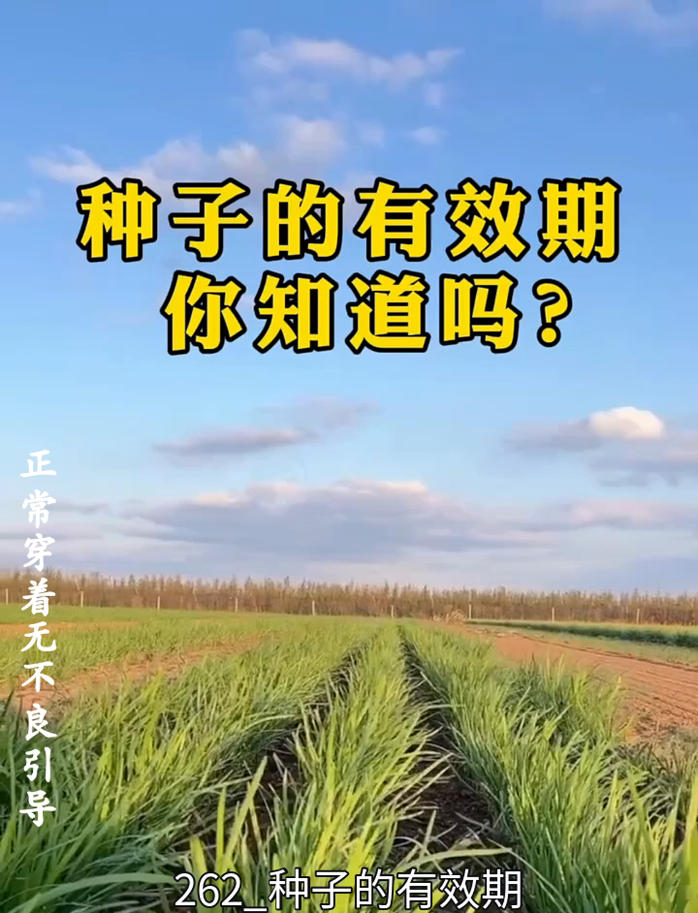 种下希望,多久能发芽?聊聊种子的保质期那些事儿