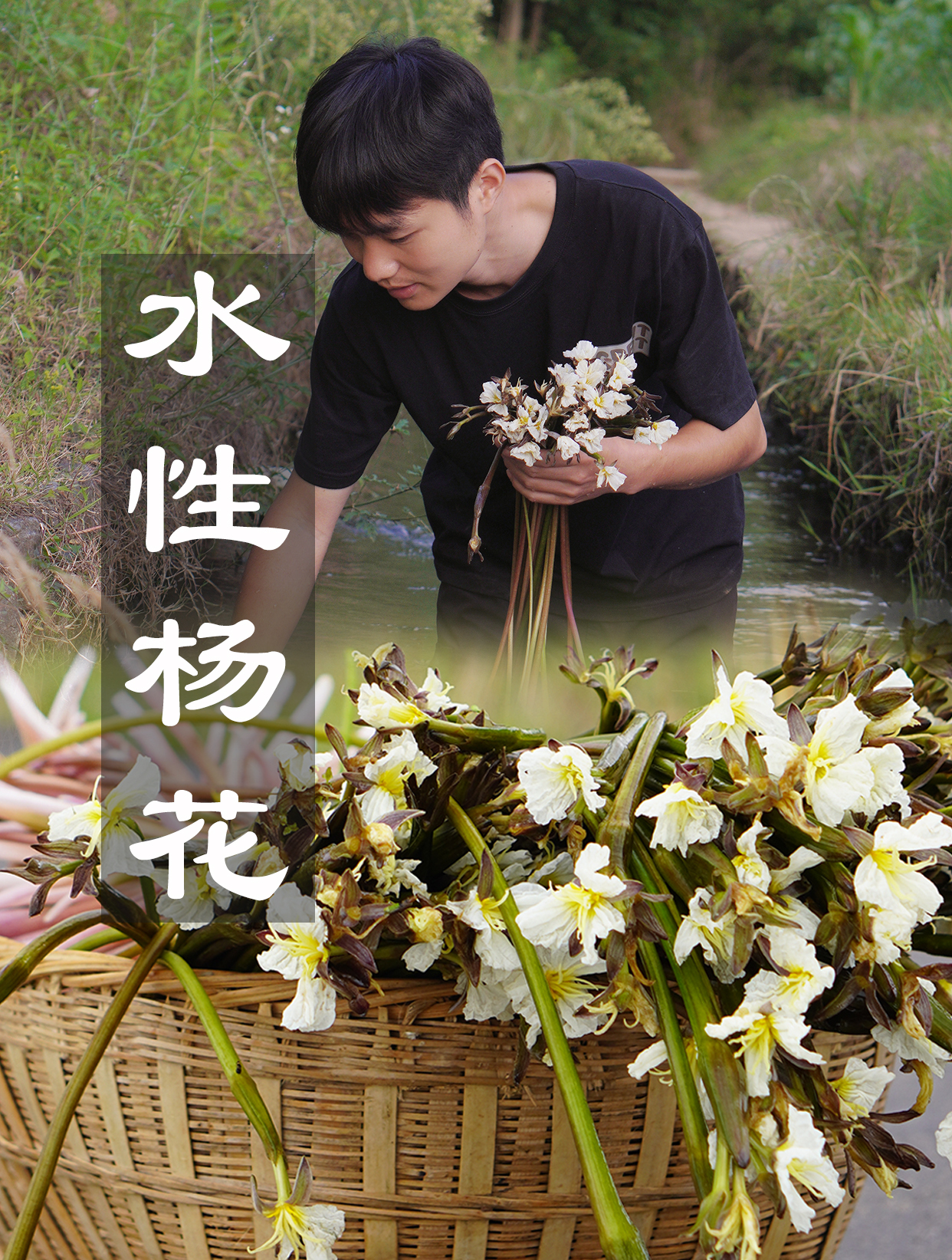 仙气飘飘的水性杨花,不仅好看,而且好吃,夏日必吃美食
