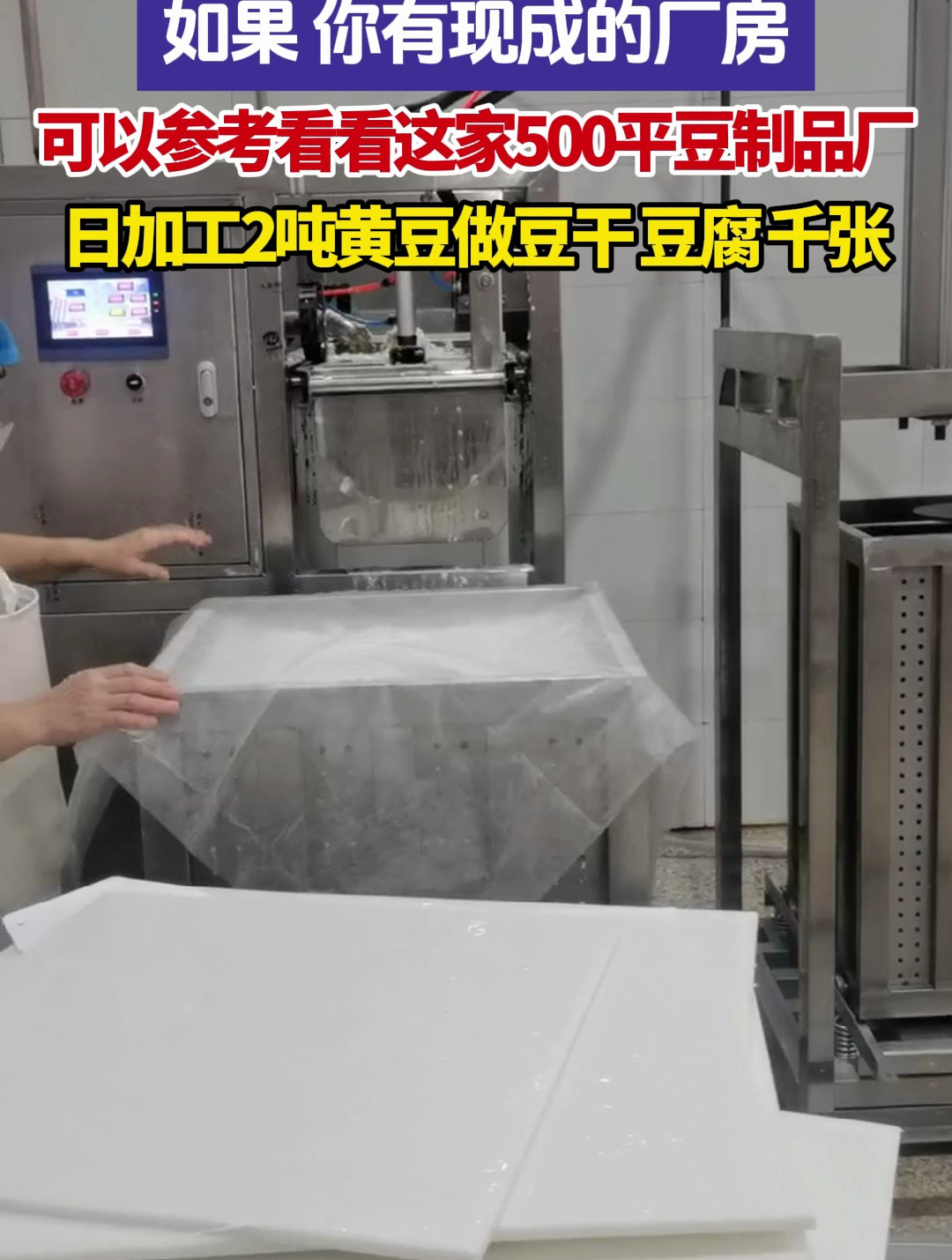 如果您有现成的厂房 可以参考看看这家豆制品加工厂做豆腐 豆腐干