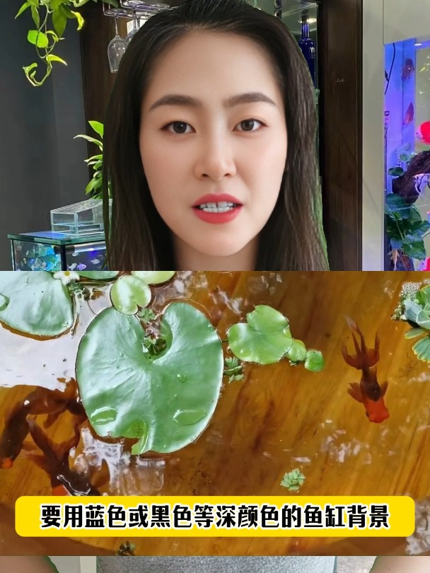 家里的鱼养着养着,颜色就变浅了,该怎么办呢