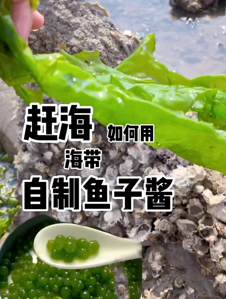 大家帮我看一下这样的鱼子酱值多少一克