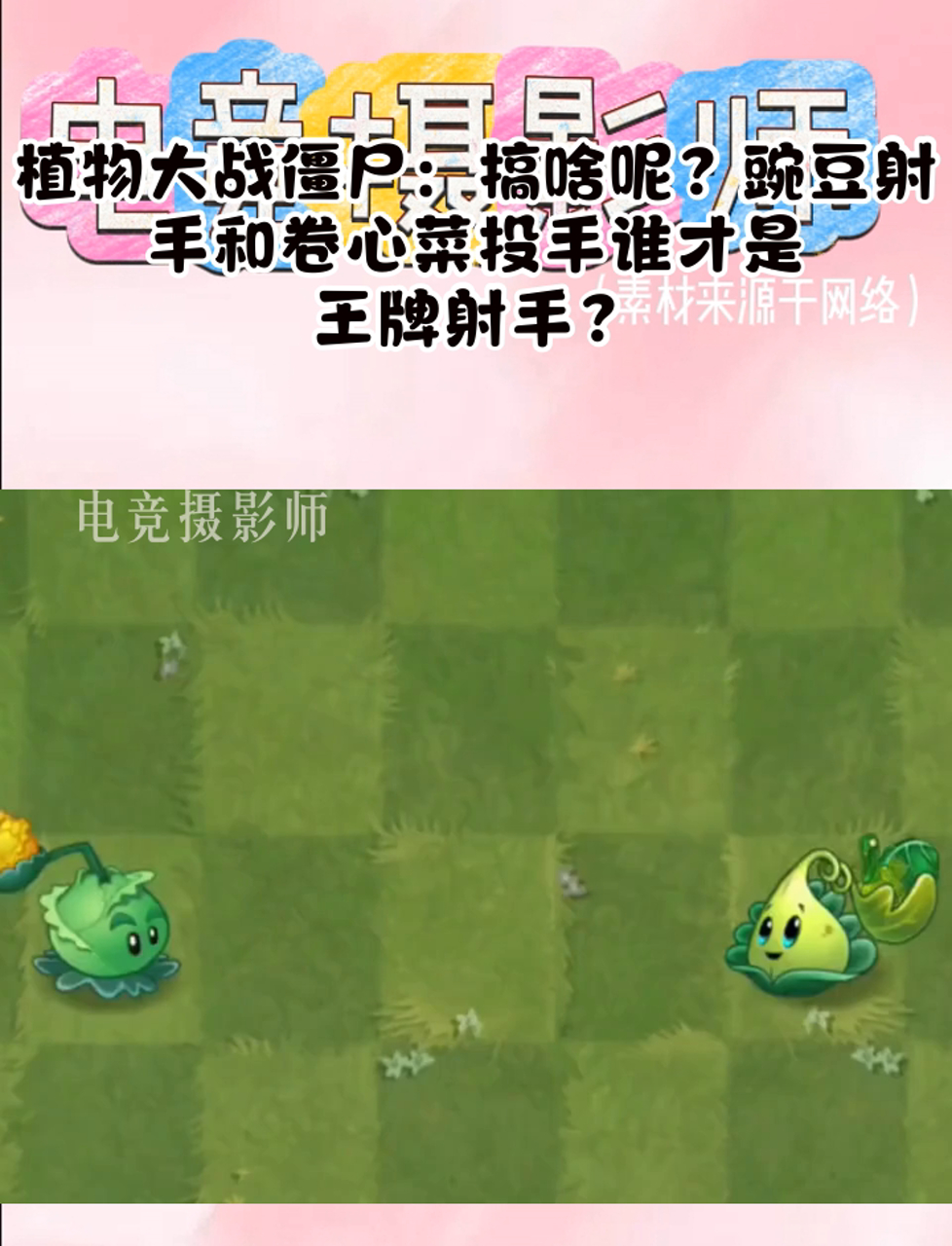 植物大战僵尸:搞啥呢?豌豆射手和卷心菜投手谁才是王牌射手?