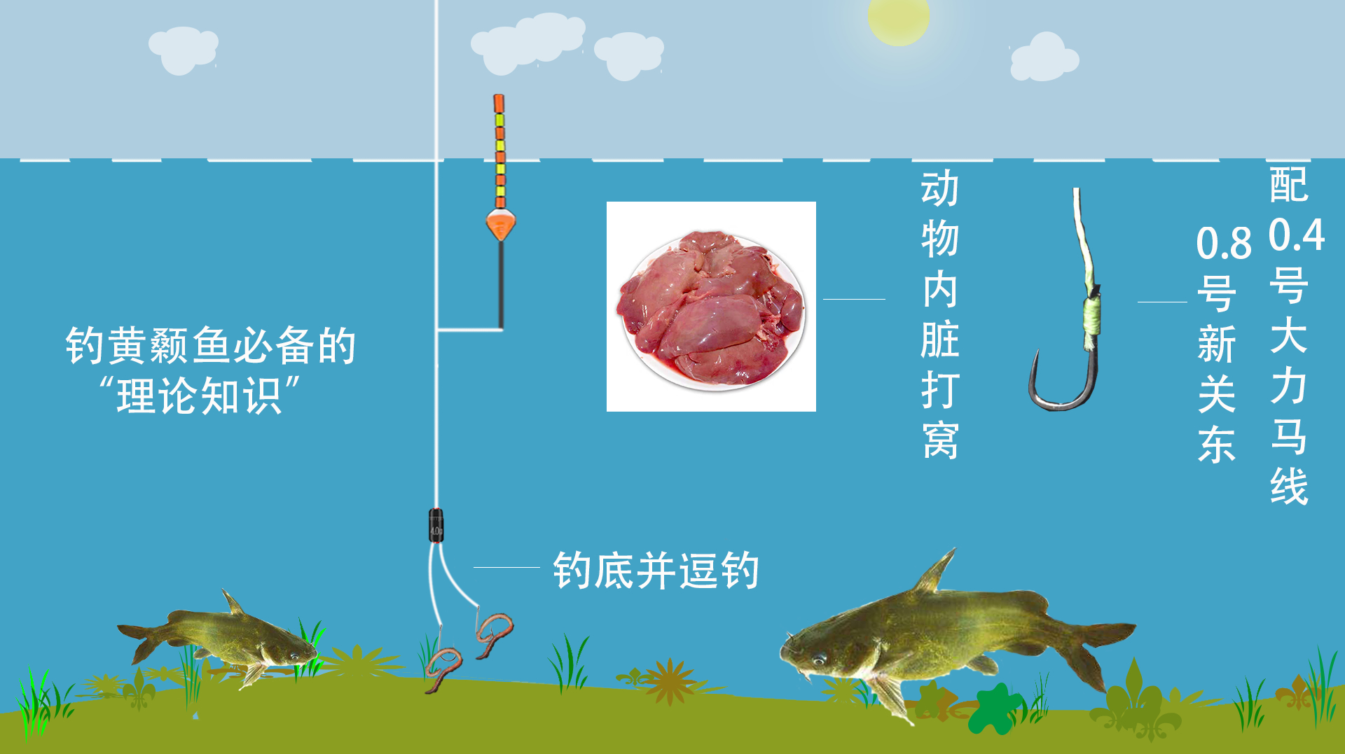 端午前钓黄颡鱼别想投机取巧,学好“理论知识”,磨刀不误砍柴工