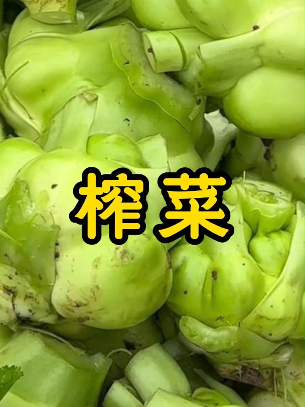 美味榨菜,一口满足,好种好管理