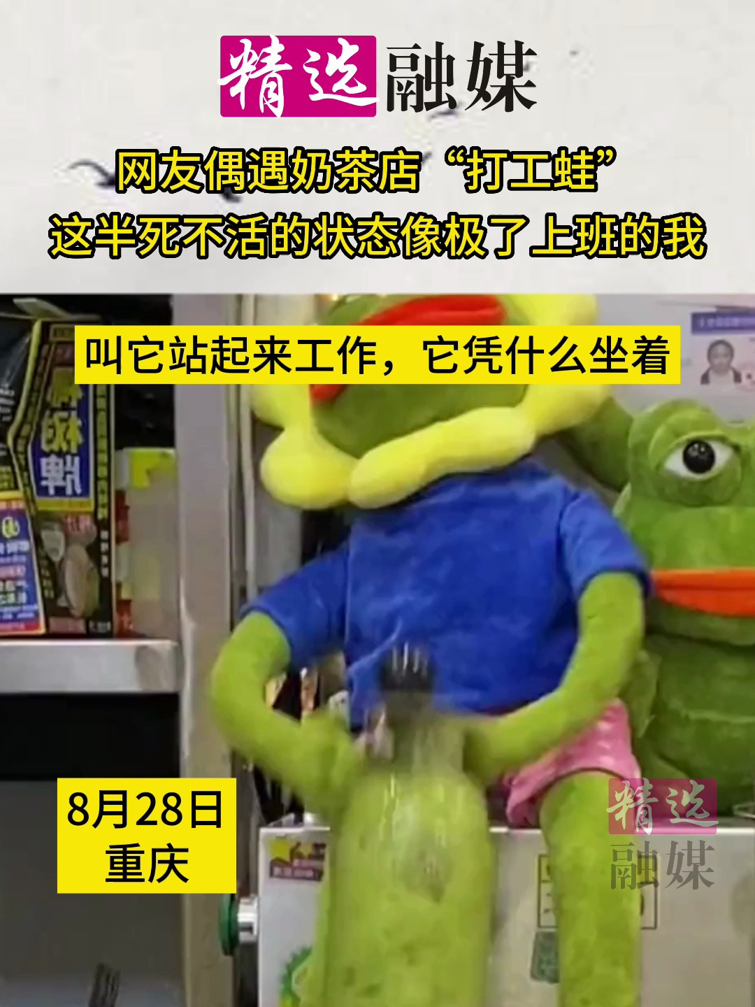 网友偶遇奶茶店“打工蛙”这半死不活的状态像极了上班的我