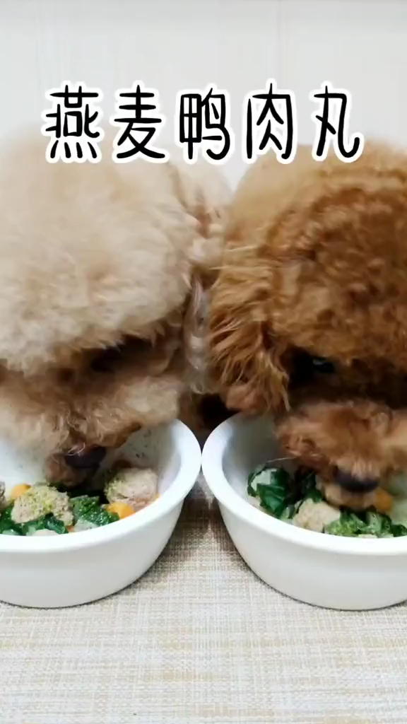 昨天吃的鸭肉丸教程来咯,给你家毛孩子做起来吧!