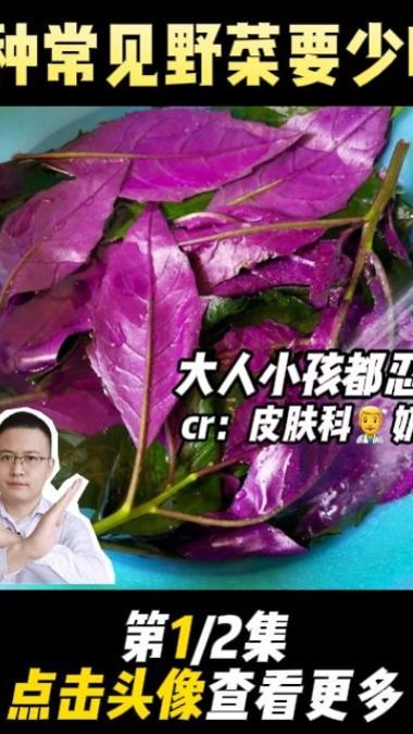 家长注意3种野菜别乱吃!有毒!