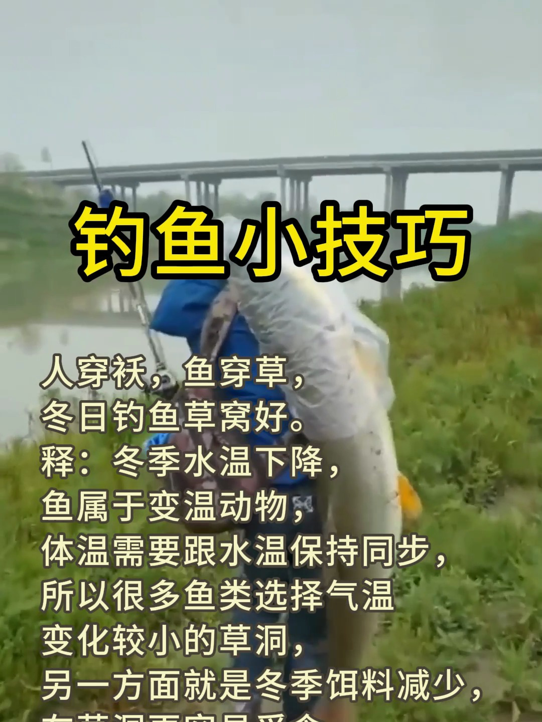 你们知道:“人穿袄,鱼穿草,冬日钓鱼草窝好”是什么意思吗?