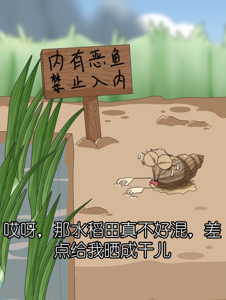 什么“恶鱼”？能治得了福寿螺？