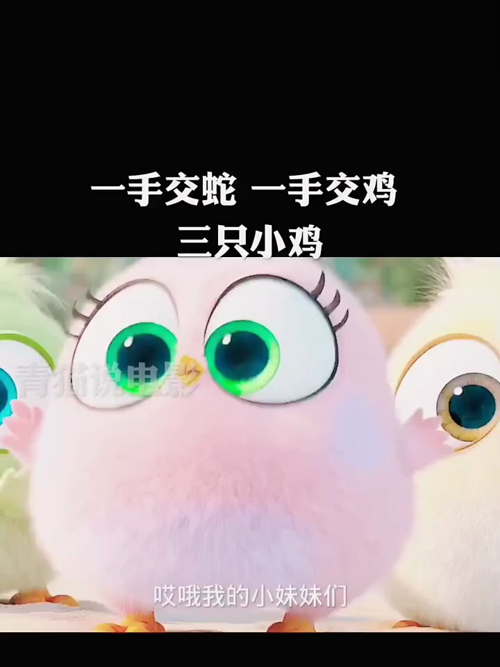 一手交蛇一手交鸡三只小鸡