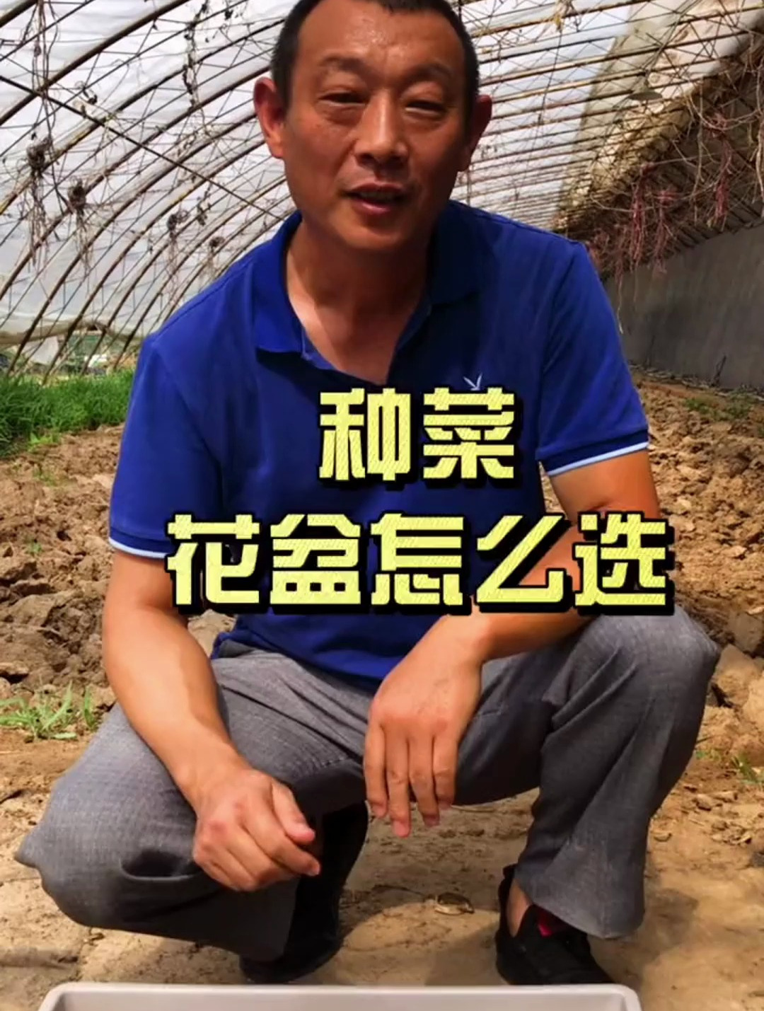 创作灵感,阳台如何种菜,首先得选对花盆