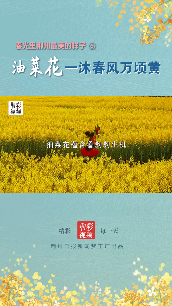 花城荆州「春天里荆州最美的样子⑥」油菜花,一沐春风万顷黄