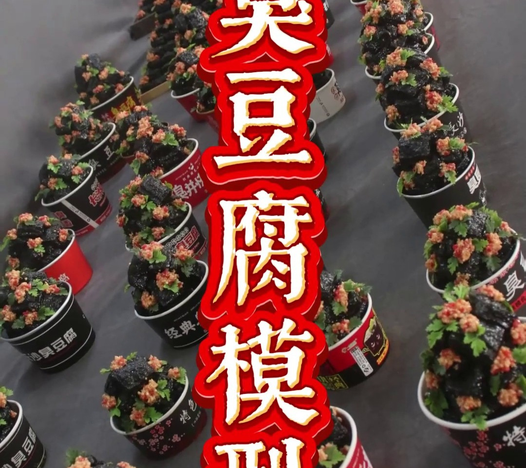 食品模型——臭豆腐模型 
